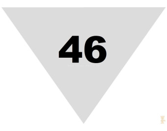46 mm